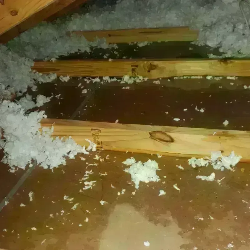 Attic Water Damage in Smithland, KY